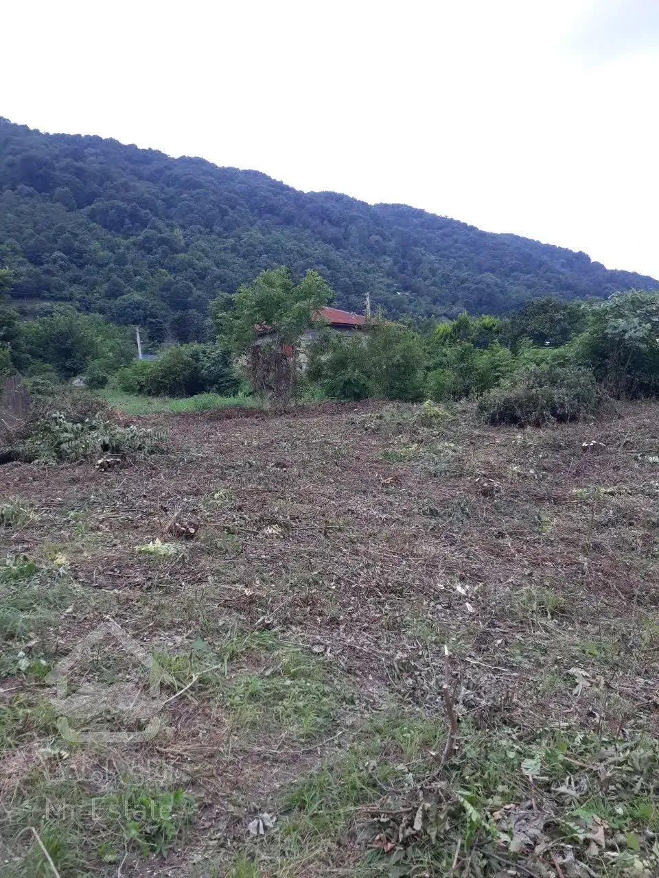 فروش زمین واقع در روستای تشگون هم کلی هم قعه