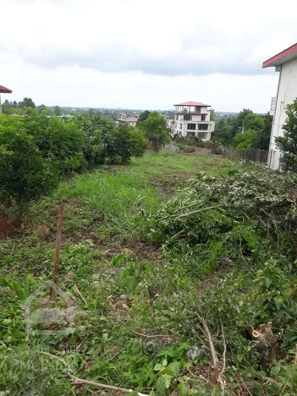 فروش زمین واقع در روستای تشگون هم کلی هم قعه