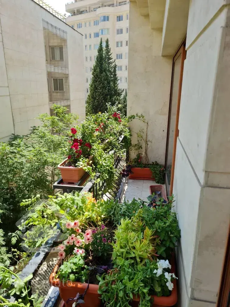 رهن آپارتمان 185 متری در ولنجک