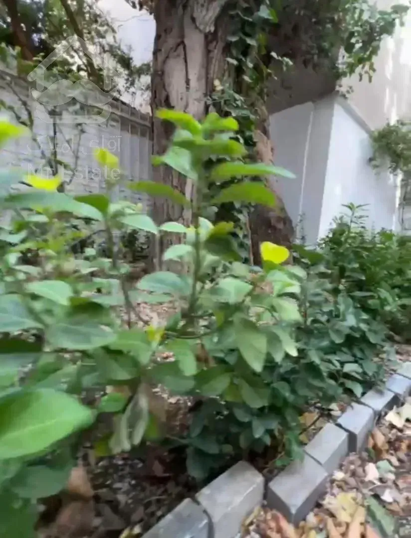 اجاره ویلایی 200 متری در الهیه