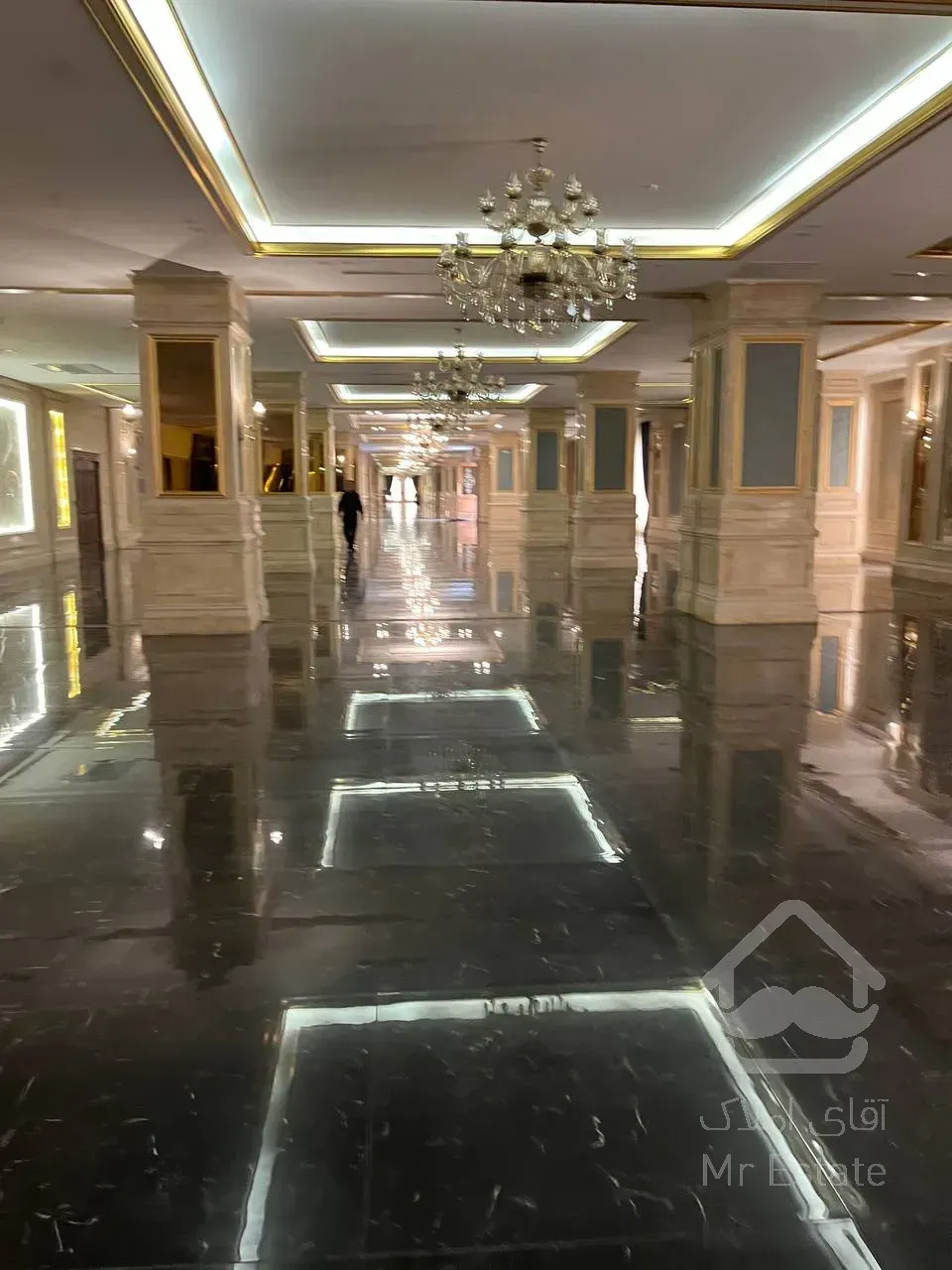 پیش فروش رونیکاپالاس لاله گل برگی آرام در ازدحام تهران