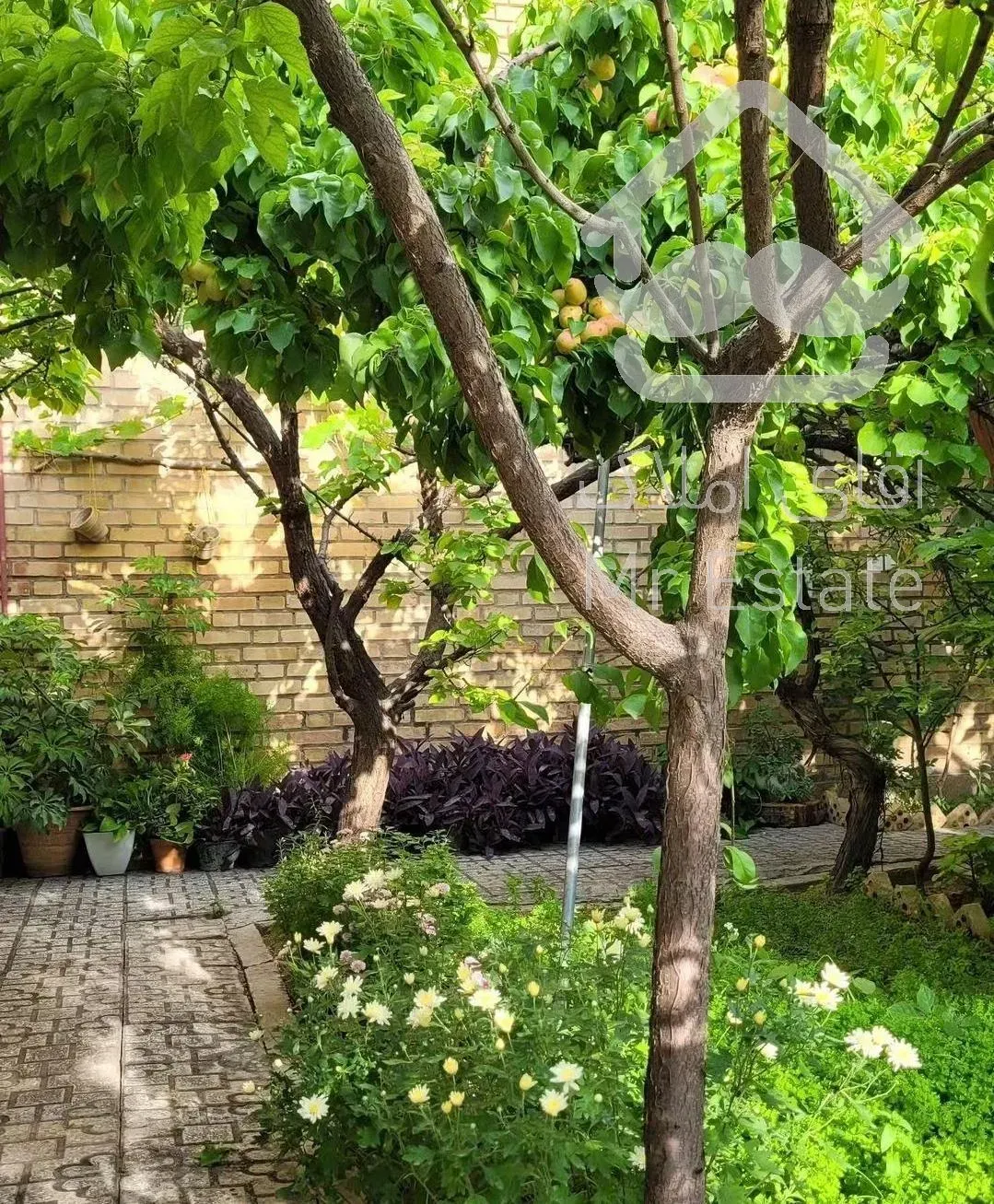 خانه ۶۰۰ متری ویلایی شهرک دانشگاه شریف / آتی شهر اردستانی چیتگر