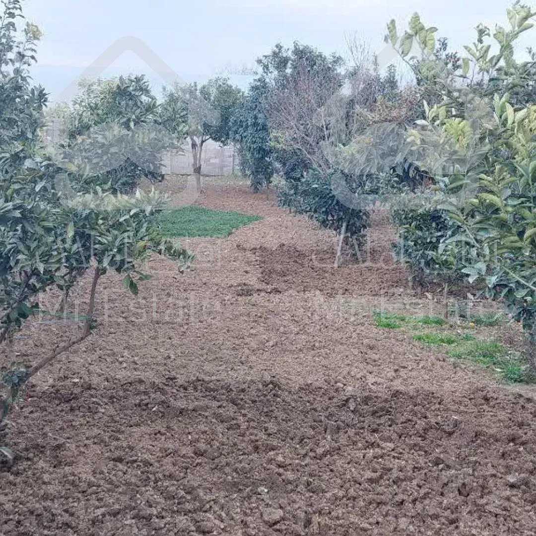 زمینی وسیع برای ساخت و ساز و سرمایه گذاری در قائمشهر