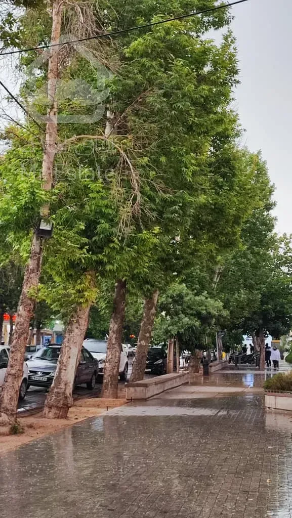 کلنگی ۶واحدی شهرک راه آهن منطقه۲۲ کوچهای یاس و بنفشه