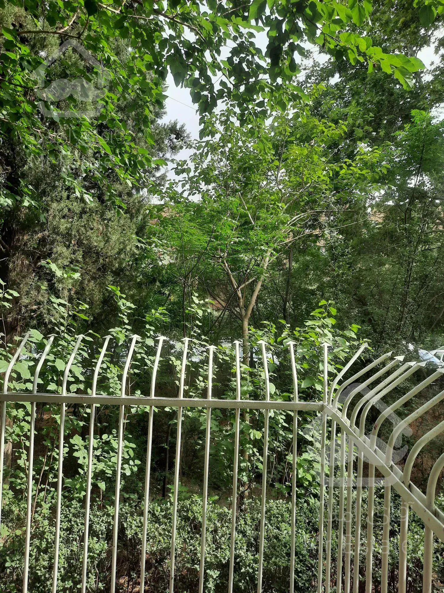 زمین / ویلایی کلنگی ۴۰۰ متری شهرک دانشگاه شریف الهیه غرب