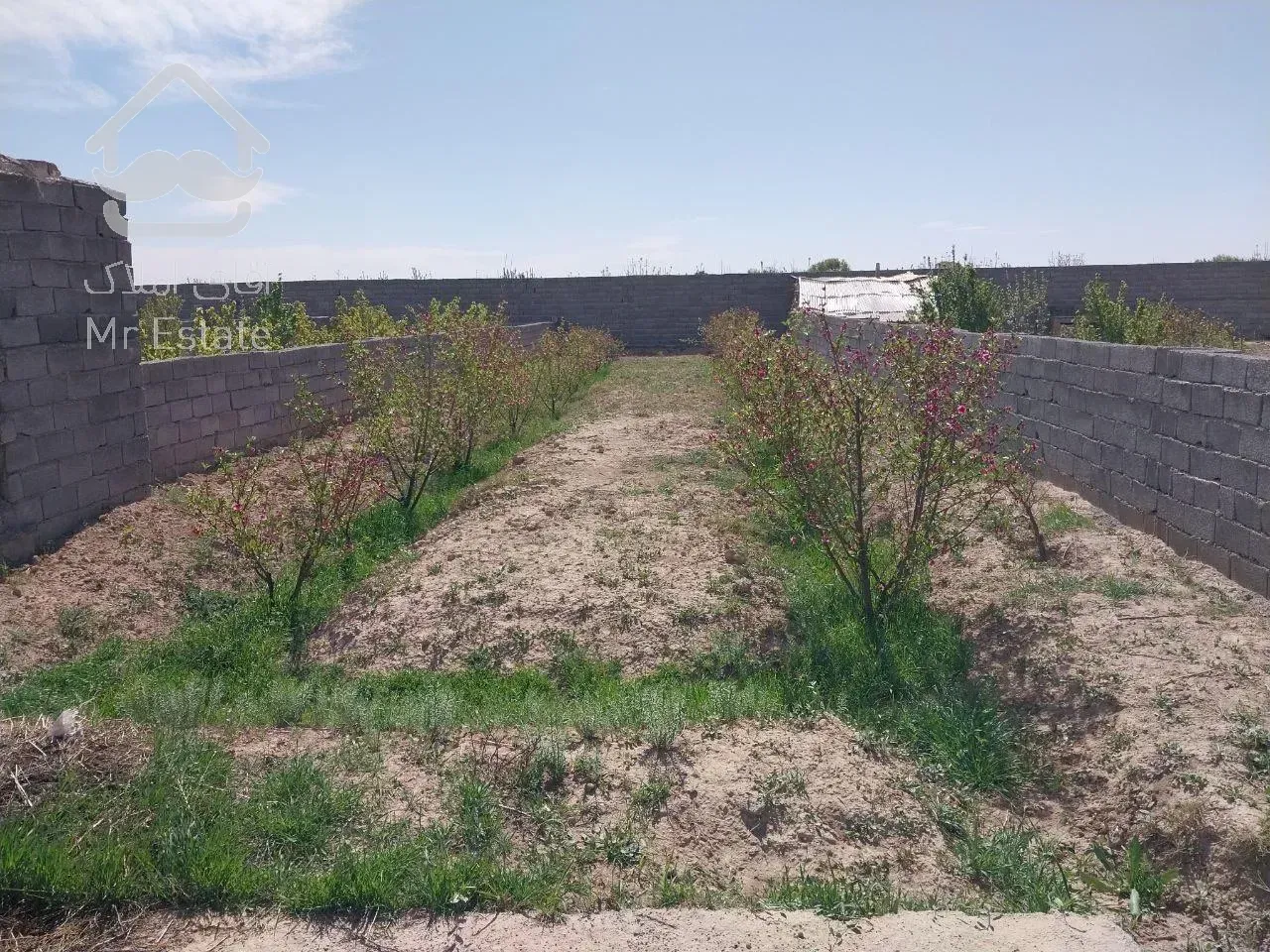 باغچه 260 متری