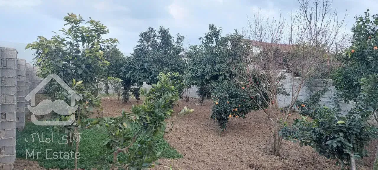 زمینی وسیع برای ساخت و ساز و سرمایه گذاری در قائمشهر