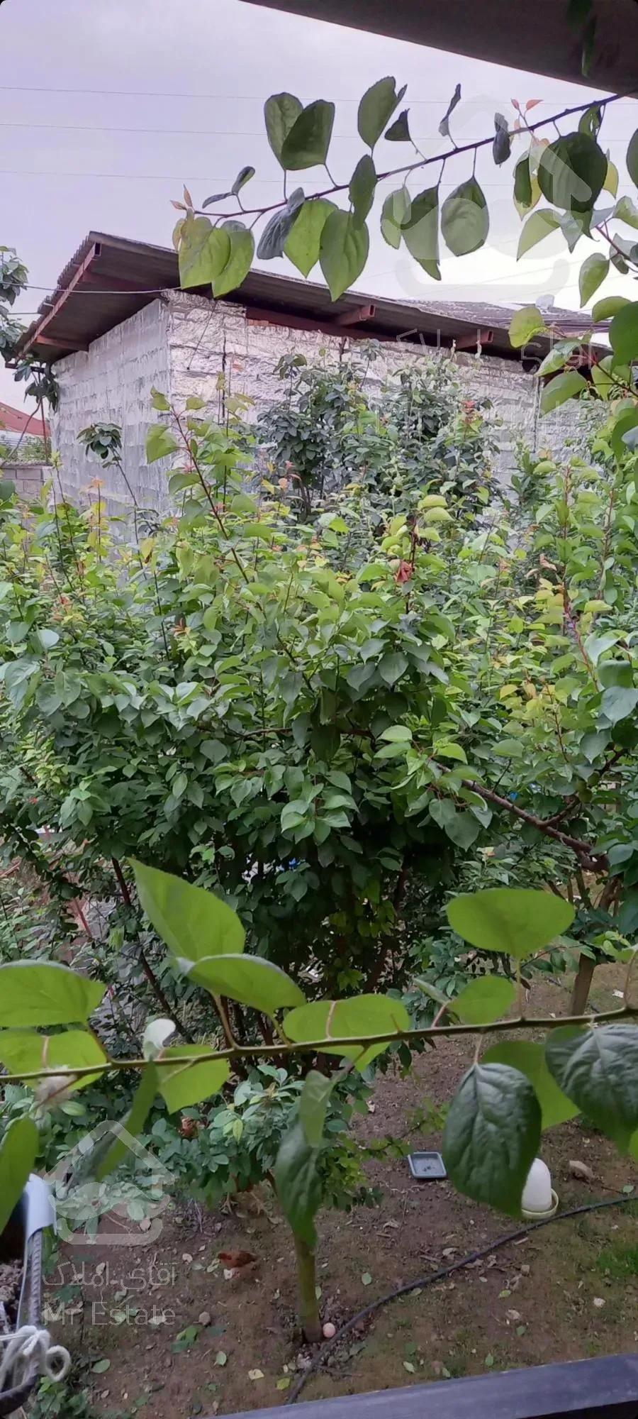 فروش ویلاباغ در مازندران با بهترین امکانات