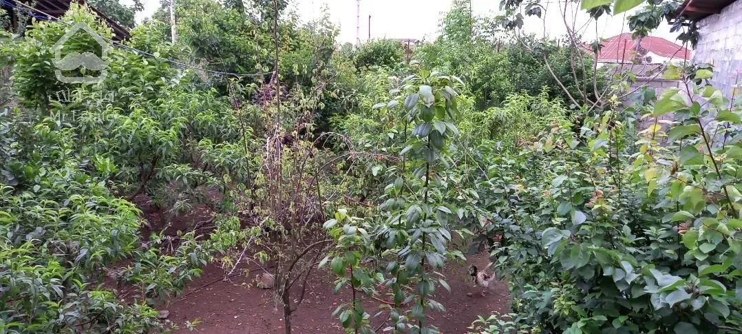 فروش ویلاباغ در شمال(مازندران)