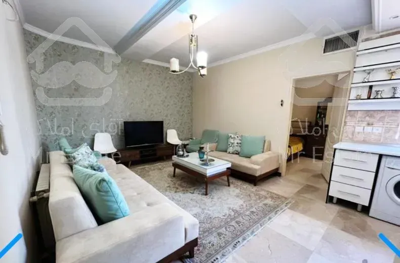 ۶۰ متر فول امکانات رو به آفتاب در سازمان