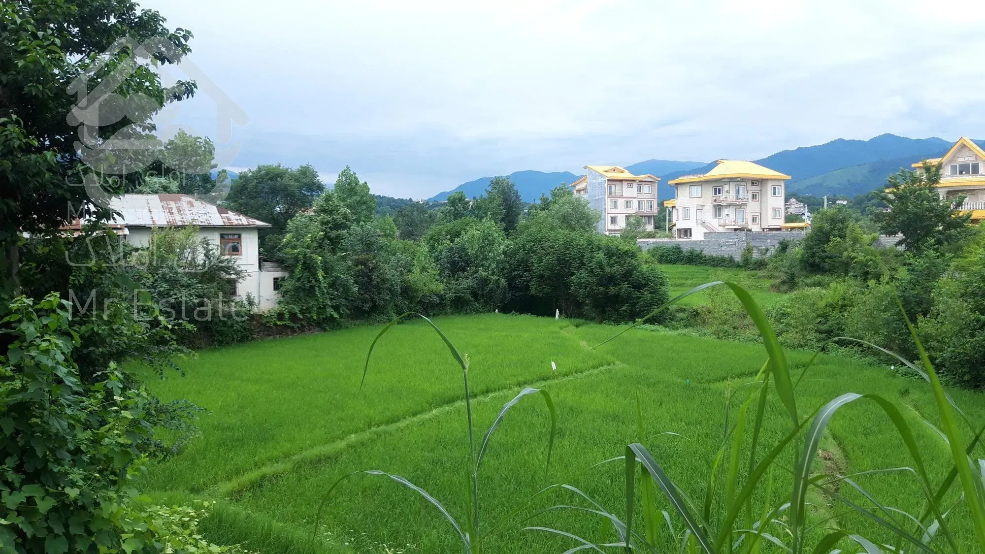 زمین با کاربری مسکونی  شمال منطقه رحیم اباد