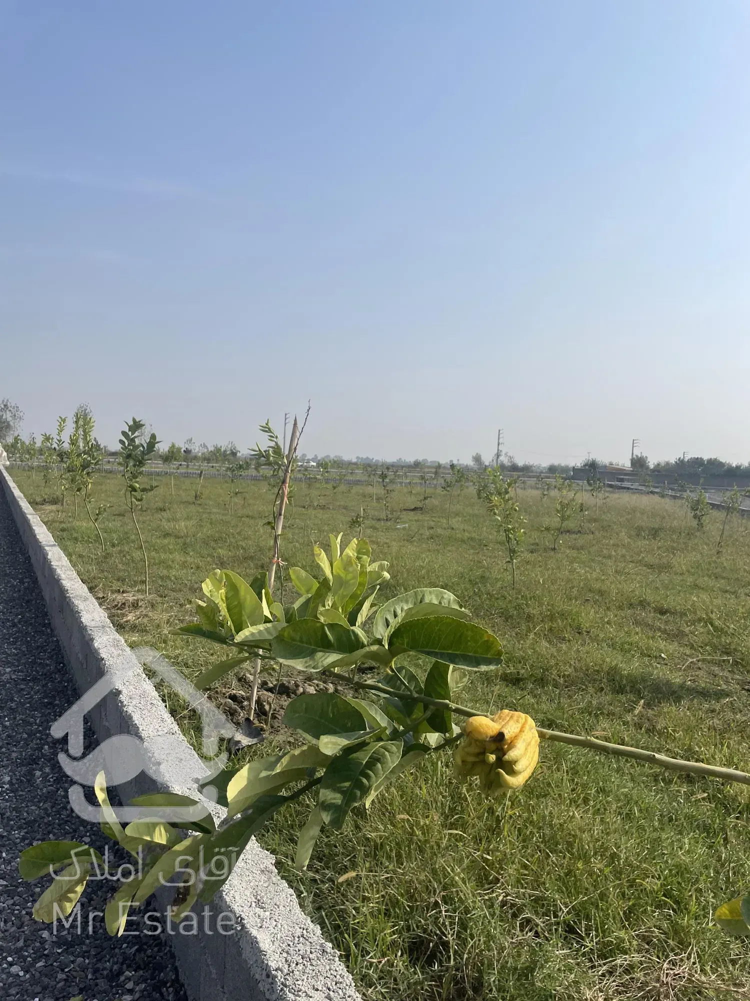 باغ پلاک ۲ جاده اصلی