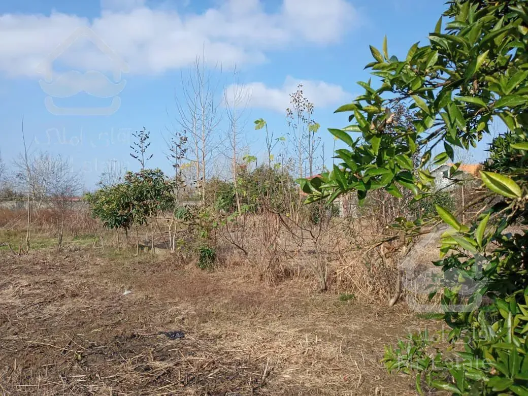 زمین مسکونی در داخل شهر آستانه اشرفیه ۲۵۰ متر