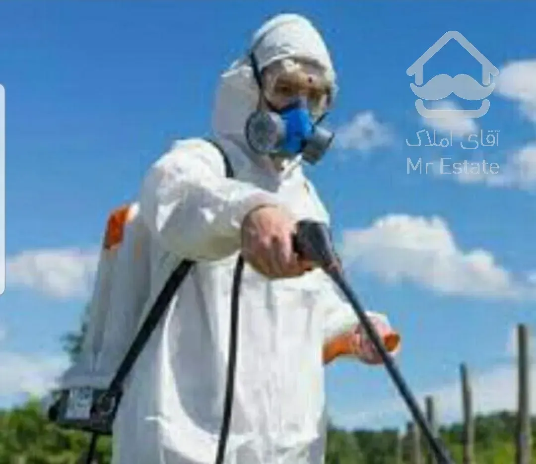 سمپاشی تخصصی : سوسک ریز و درشت فاضلاب