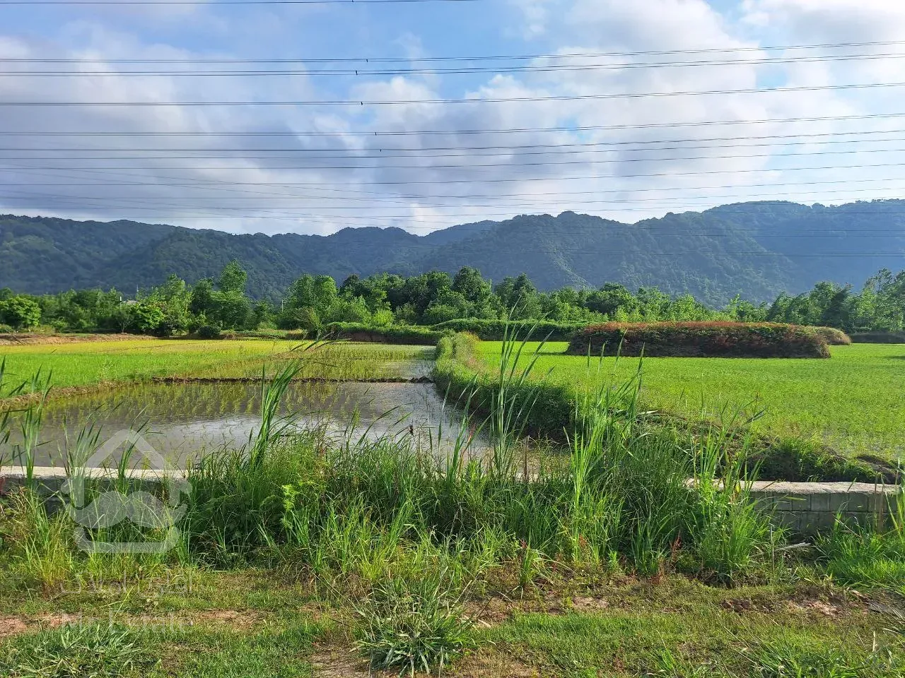 820 متر زمین سند دار لاهیجان - لیالستان