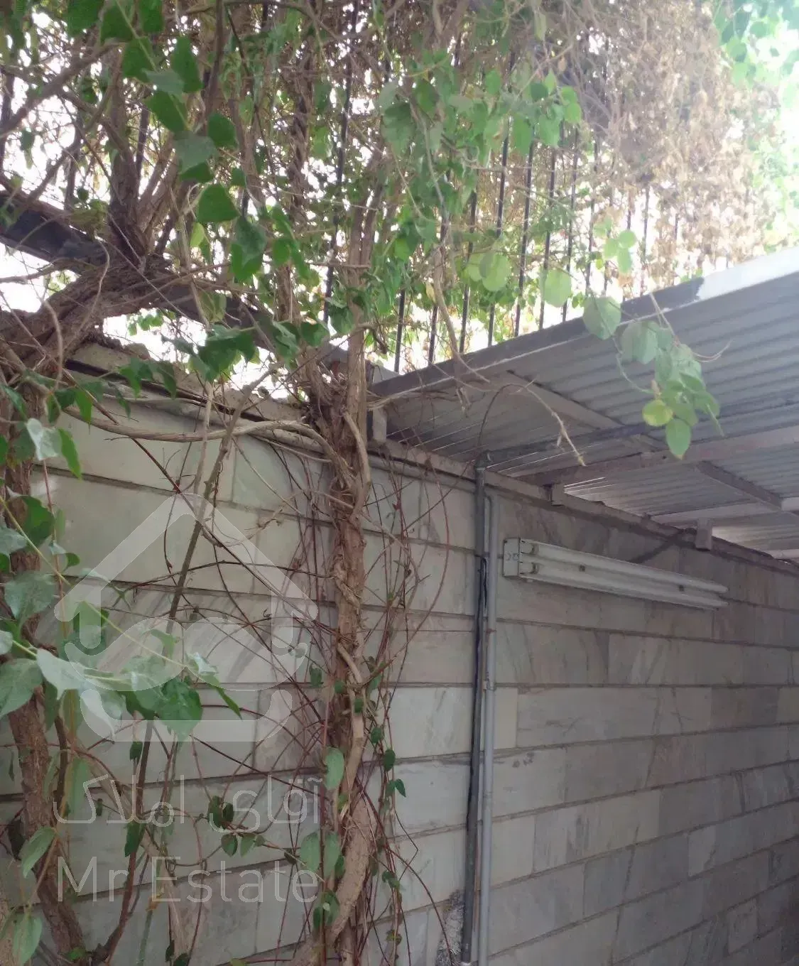 ۵۰ متر زیر همکف بازسازی شده