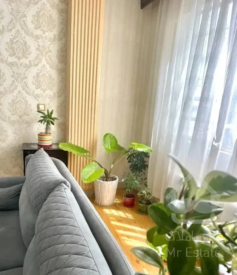 جنت آباد شمالی 95 متر  2 خواب