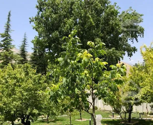 ویلا باغ ۱۱۰۰ متری لواسان