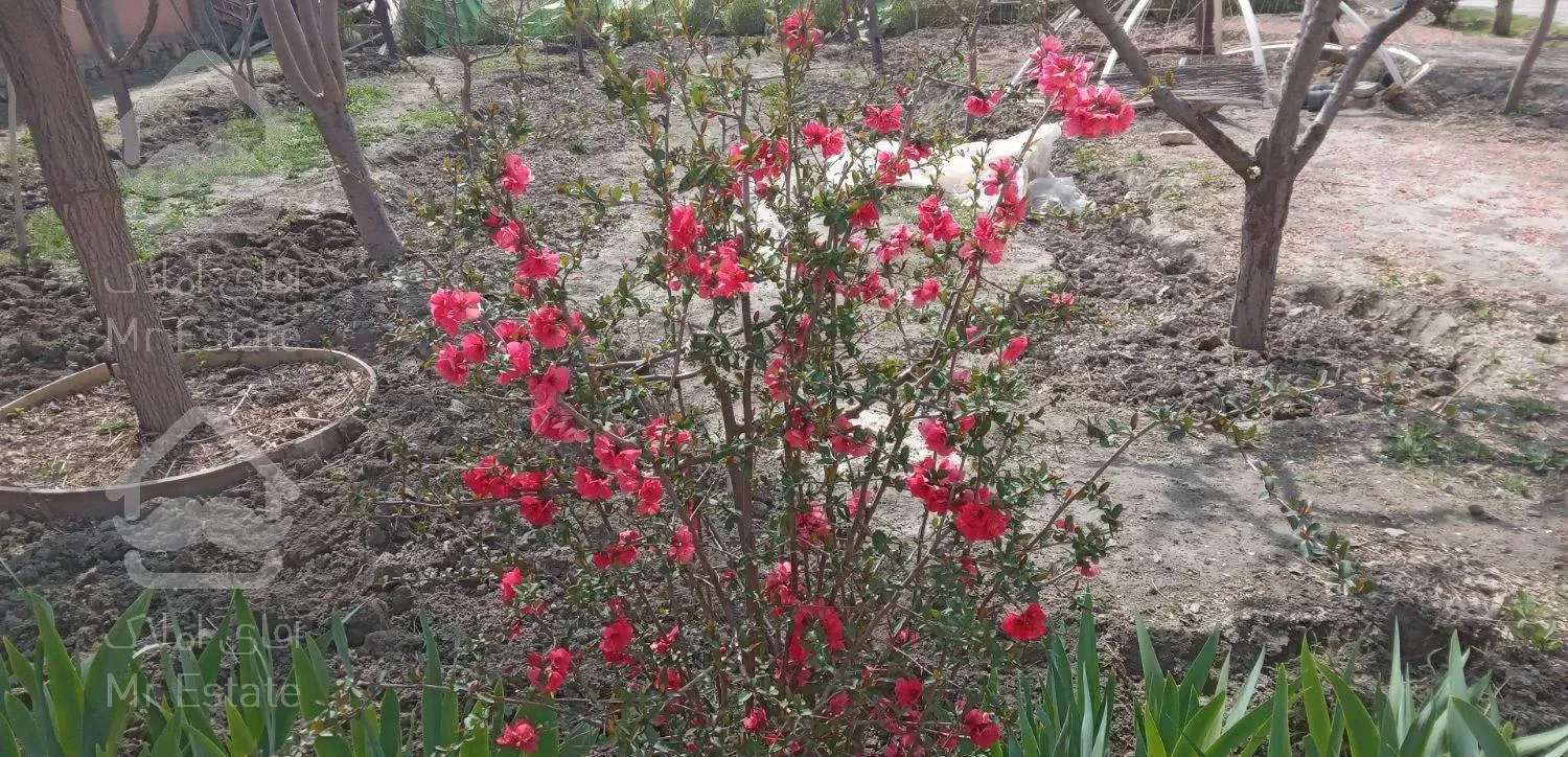 اجاره باغ ویلا با استخر آبگرم سرپوشیده