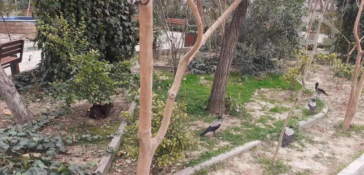 تهران شهرآرا تهران ویلا ۱۰۰متر۲خ