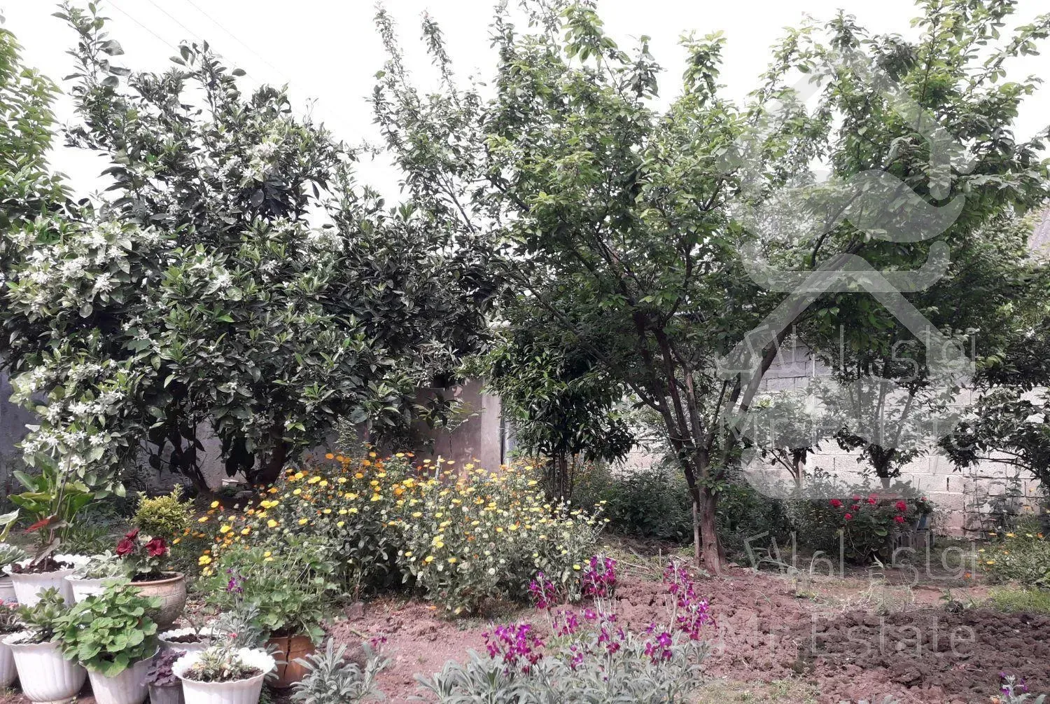 اجاره سوئیت ۶۵ متری دوخوابه در روسر