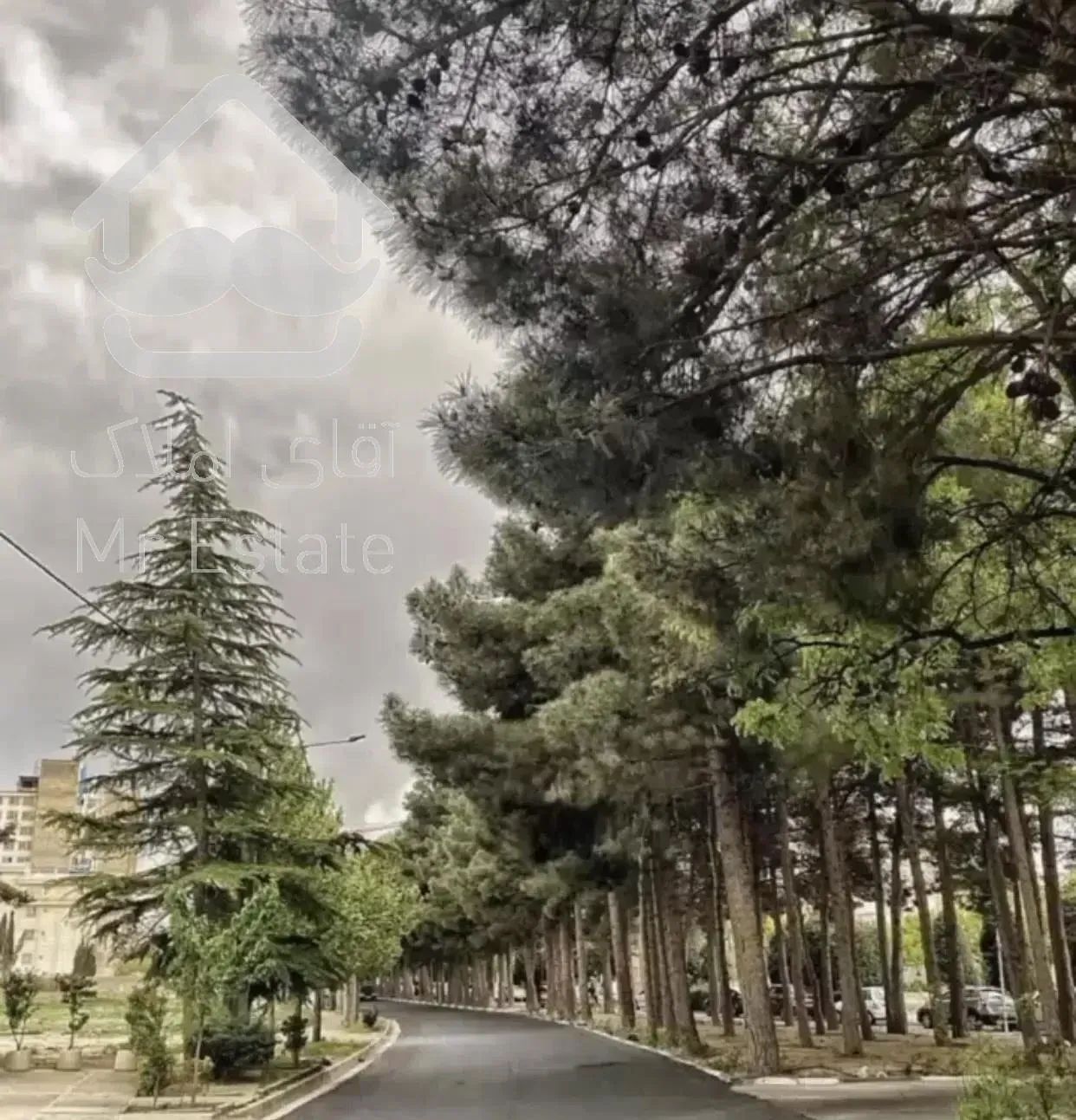 نوساز ، کم واحد ۲۷۰ متر