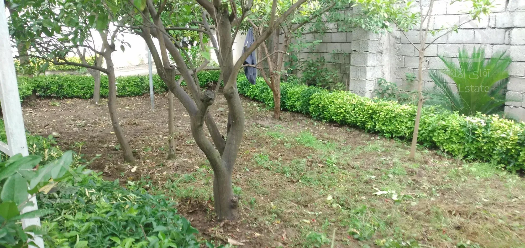 رامسر.مرکز شهر