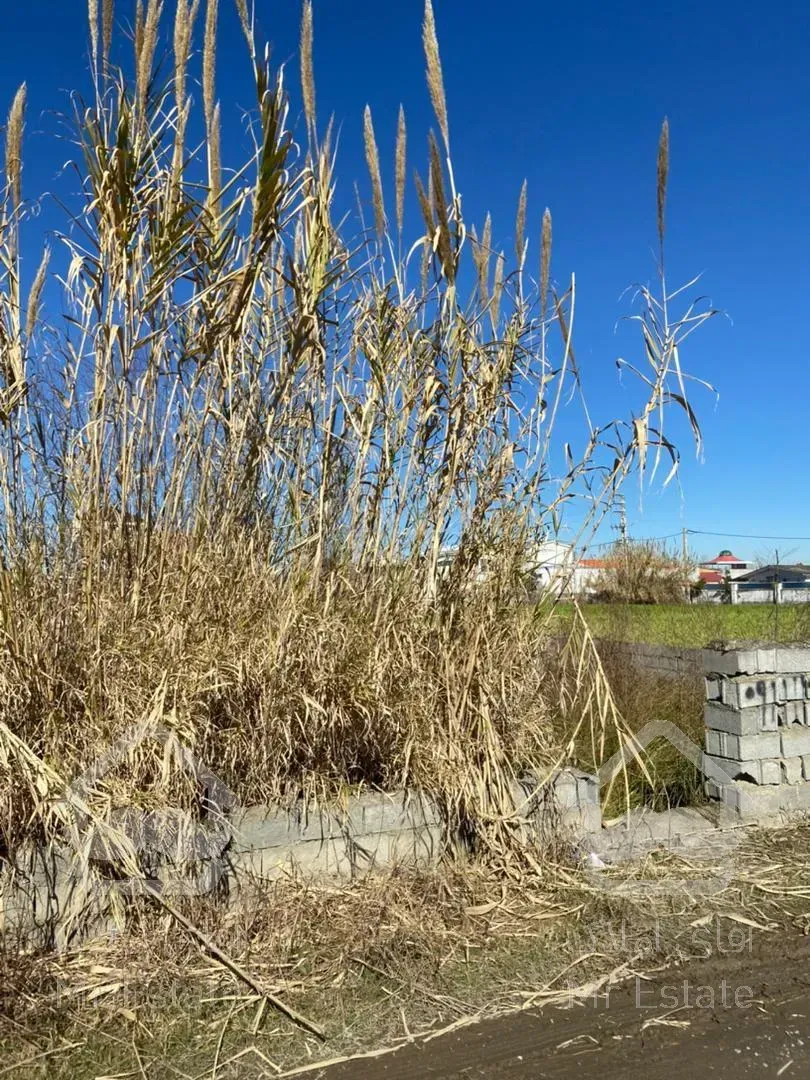 زمین کاملا"غیربومی ومحصور