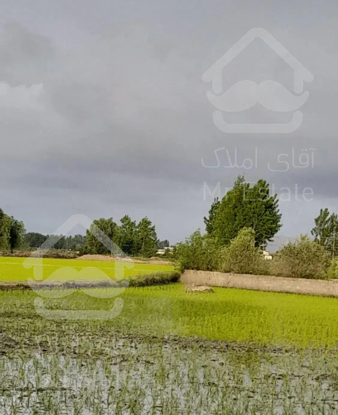 اجاره  ویلادو خوابه استخردار