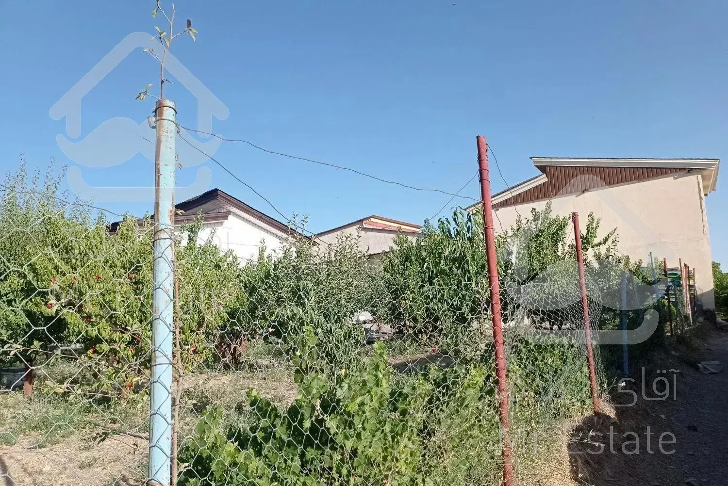 باغچه و سوییت دماوند چنار شرق