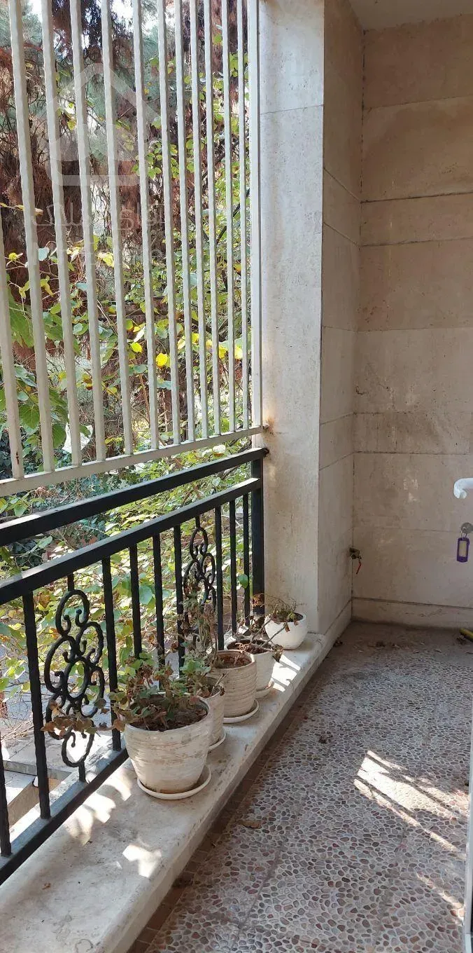 ملاصدرا   شیراز / ۱۲۵متر