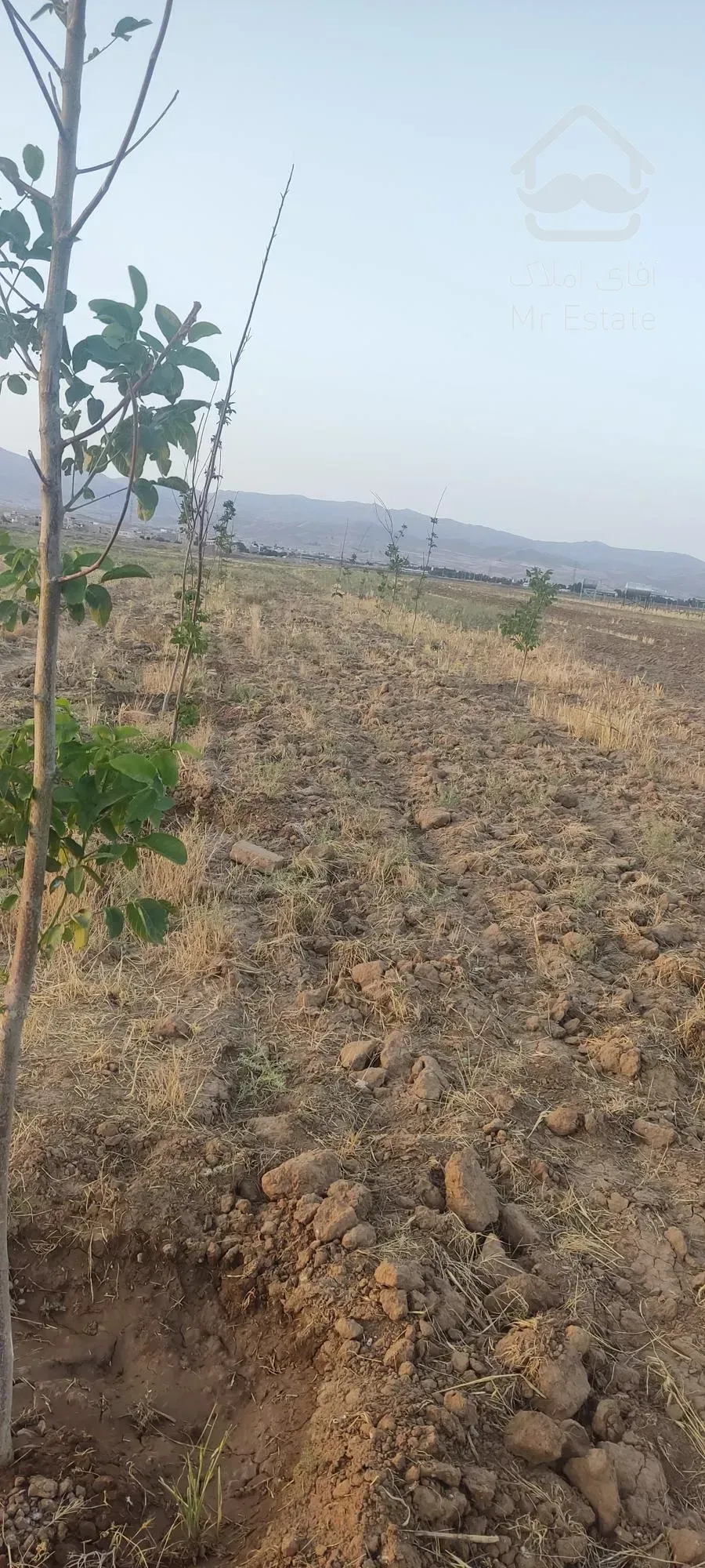 زمین کشاورزی و باغ