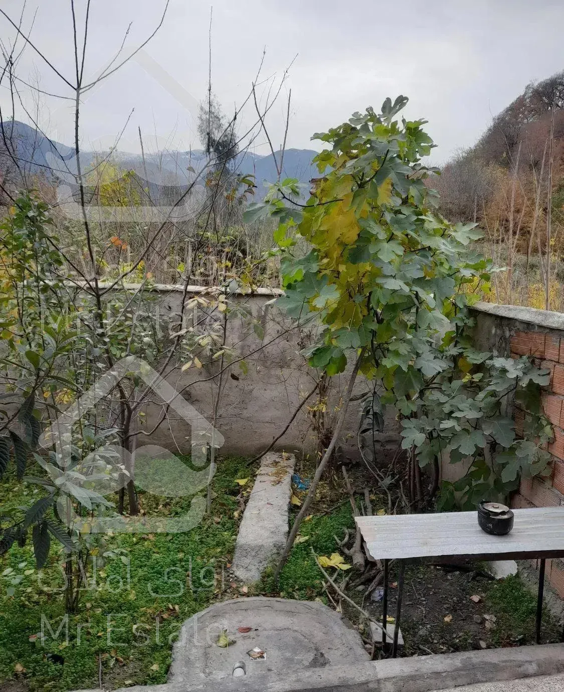 ویلا جنگلی دربست وصل به جنگل ورودخانه