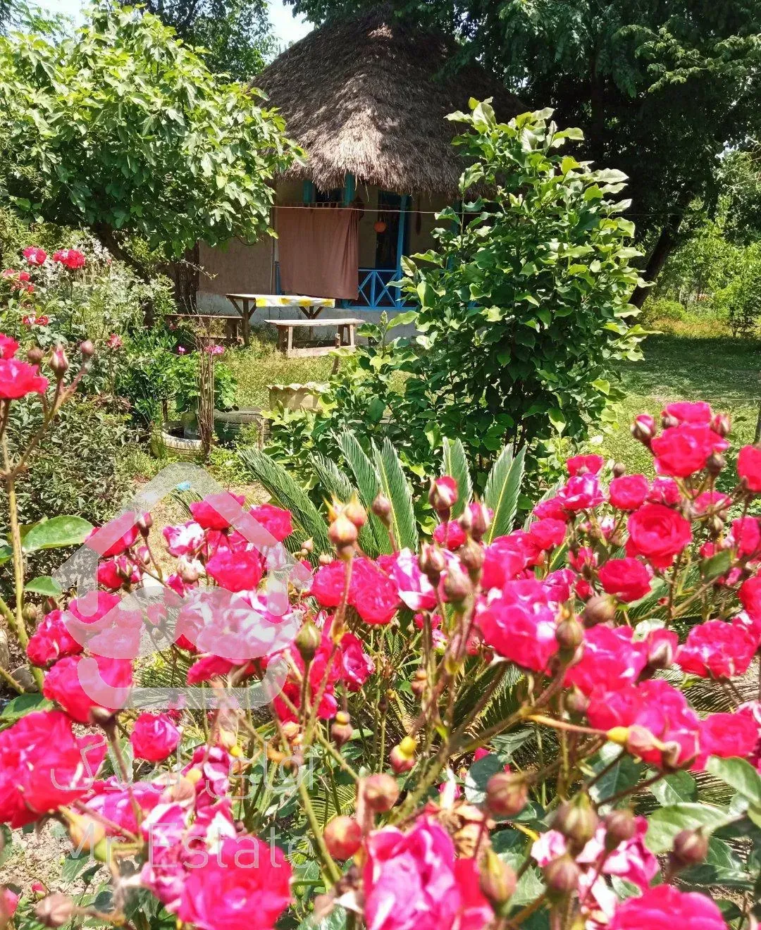 اجاره کلبه سنتی روستایی