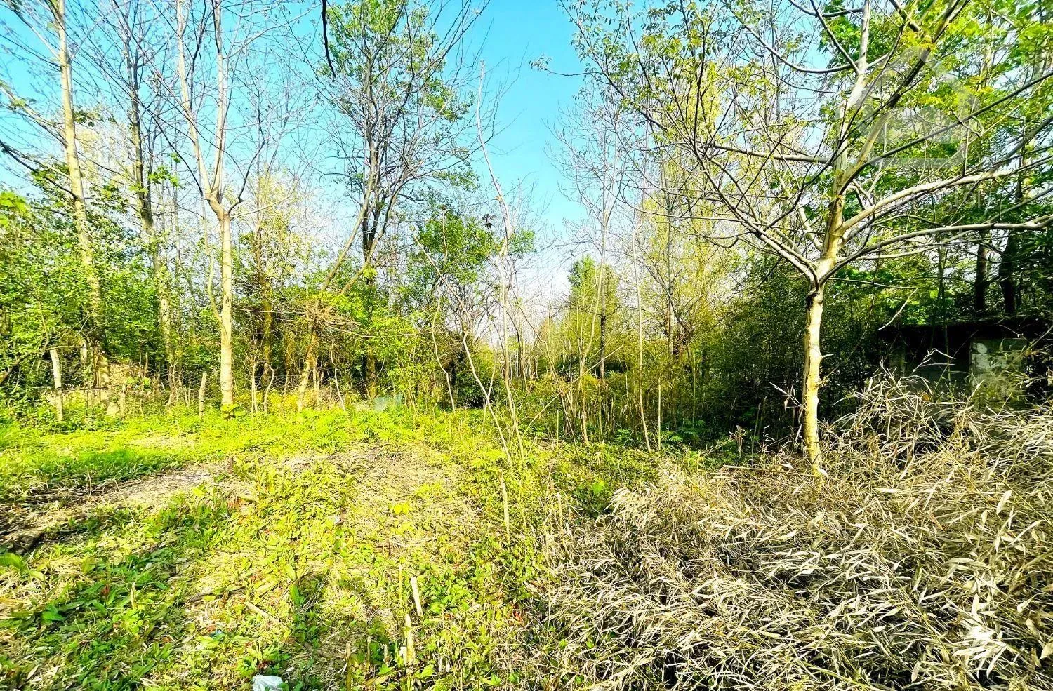 خانه ویلایی سرسبز ۵۵۰ متر فضای دلنشین زیبا