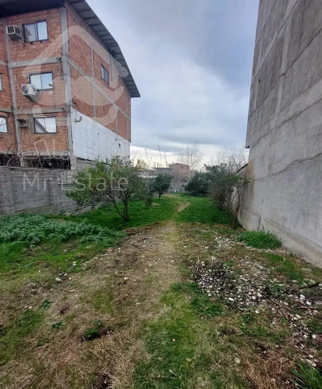 اجاره باغ در تلار پشت علیا