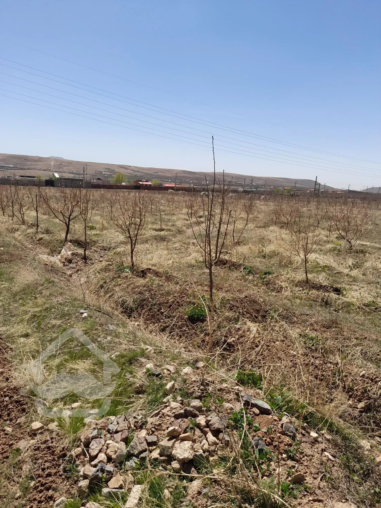 ۱۰۰۰متر زمین کشاورزی با دختان ۵ ساله