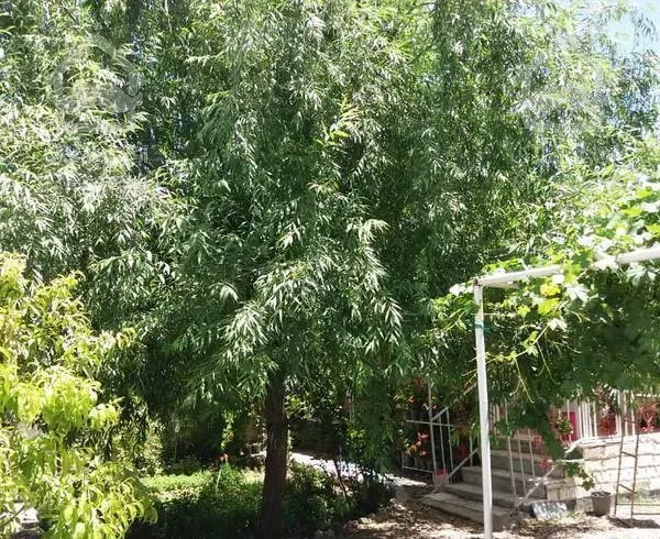 خانه ویلایی ۳۰۰متری تک خواب