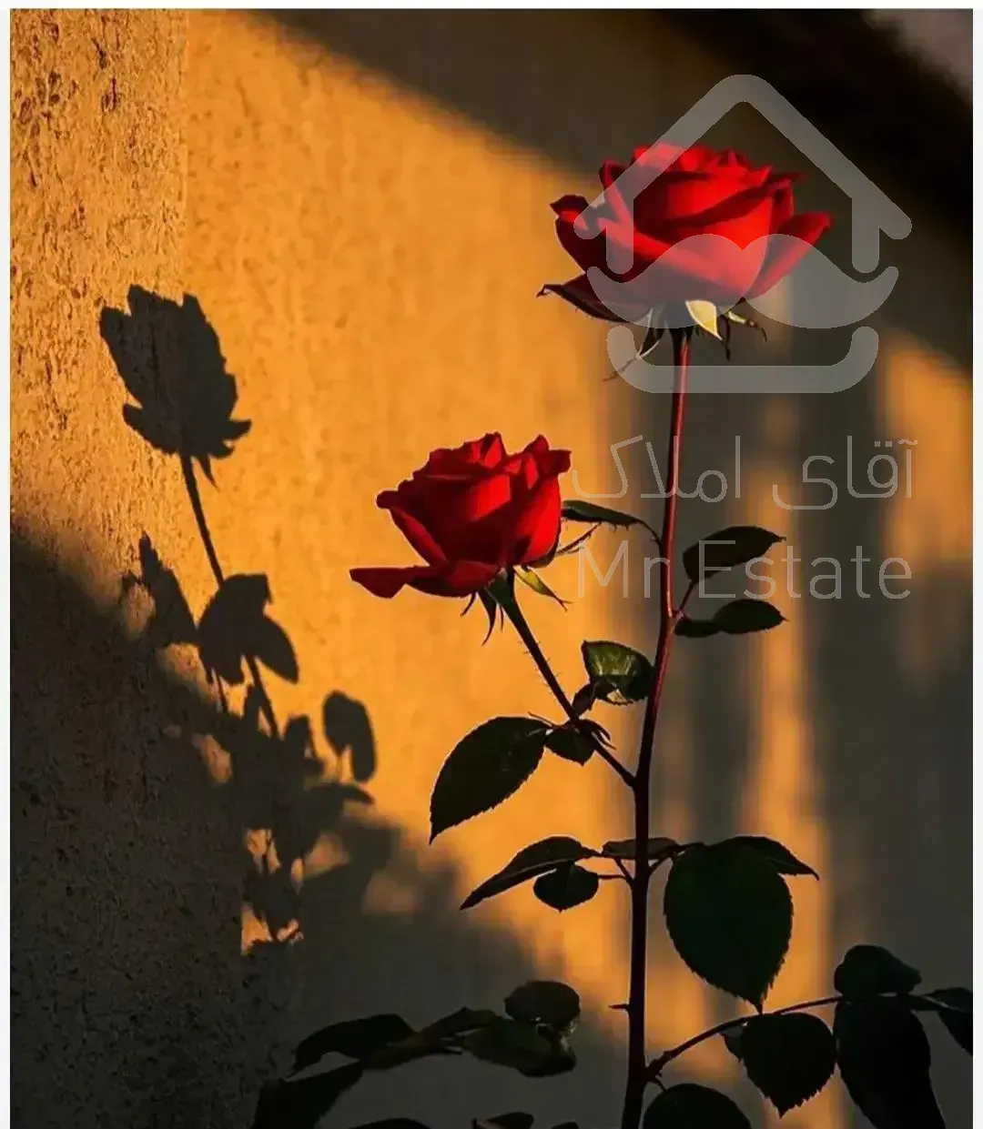 سویت یک خواب طبقه اول با پارکینگ