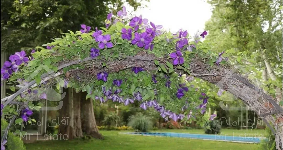 کاخ ویلا۳۵۰۰۰متری، استخردار