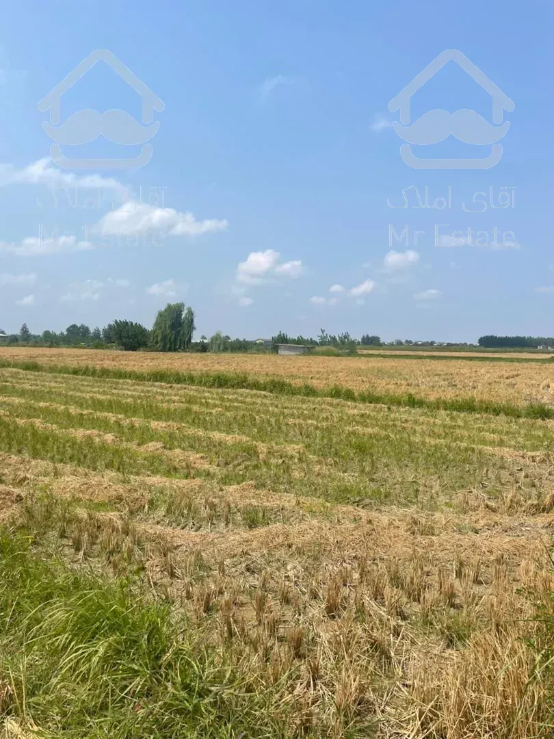 فروش زمين كشاورزي ٤٠٠٠ متري موقعيت استثنائي