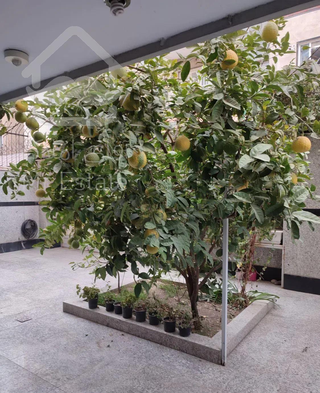 آپارتمان ۱۰۵ متری (میدان ولیعصر)