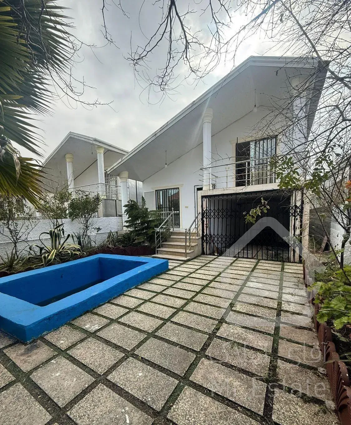 نیم پیلوت جنگلی استخردار/۳کنتوراختصاصی/سند تک برگ