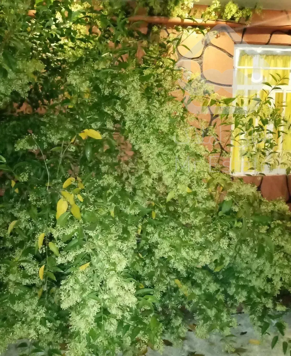 اِقامتگاه باغ سالار رشت رتبه  گردشگری