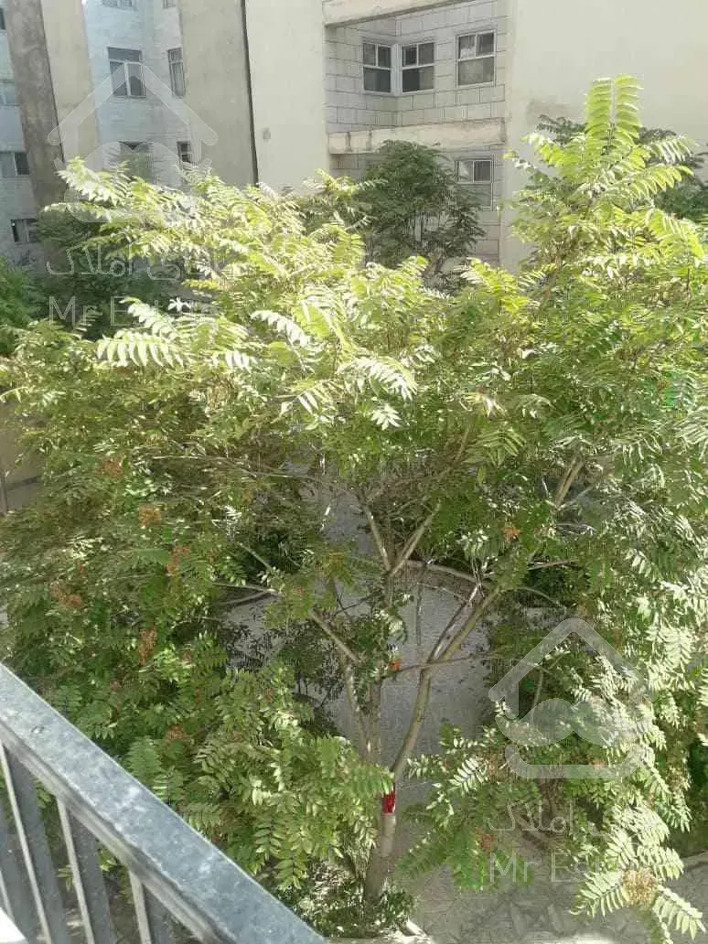 خرید آپارتمان ۵۵متری یکخوابه فردوس غرب