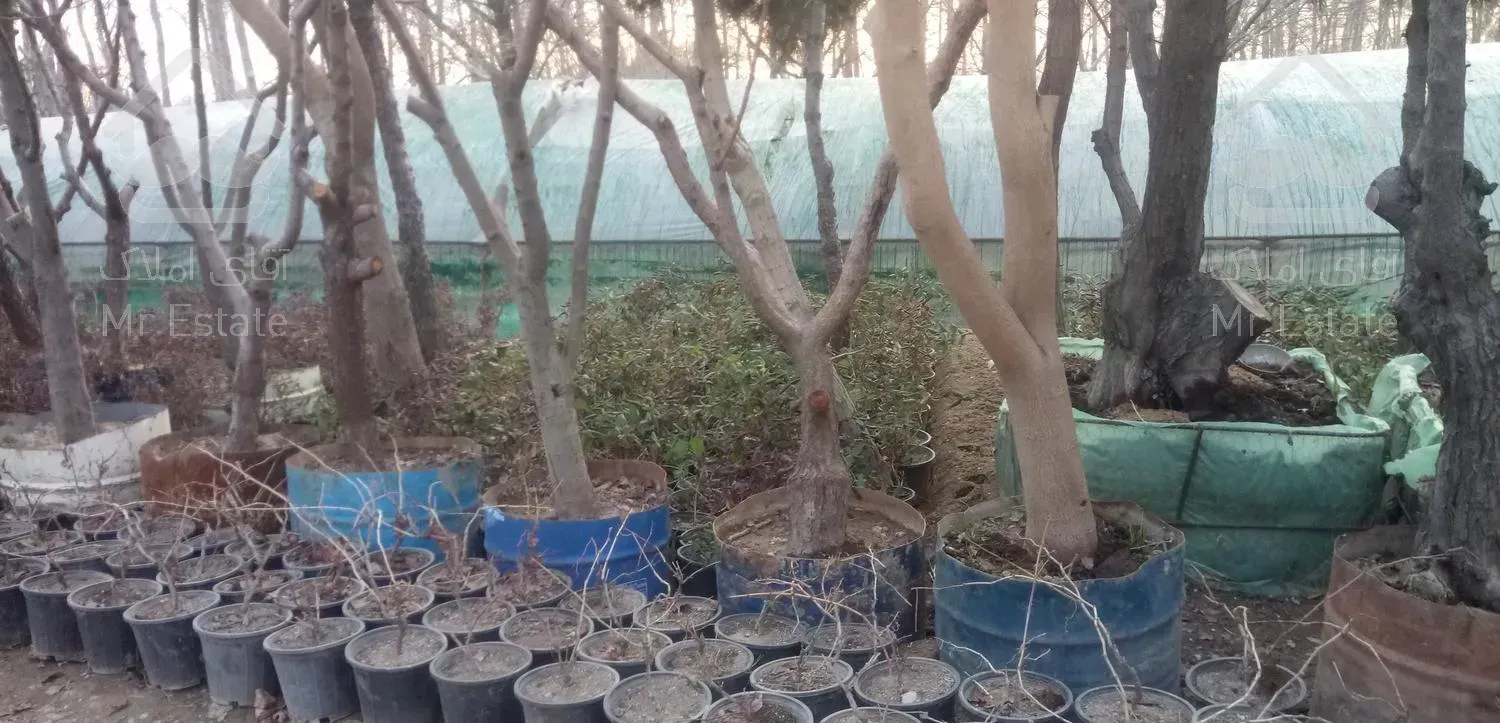 طراحی باغچه فضای سبز تنومند خاک گل وگیاه نهال درخت