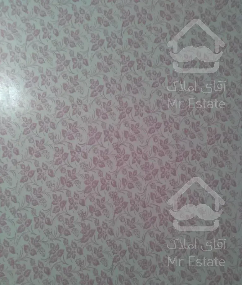 رنگ آمیزی ساختمان و لکه گیر ی گچکاری