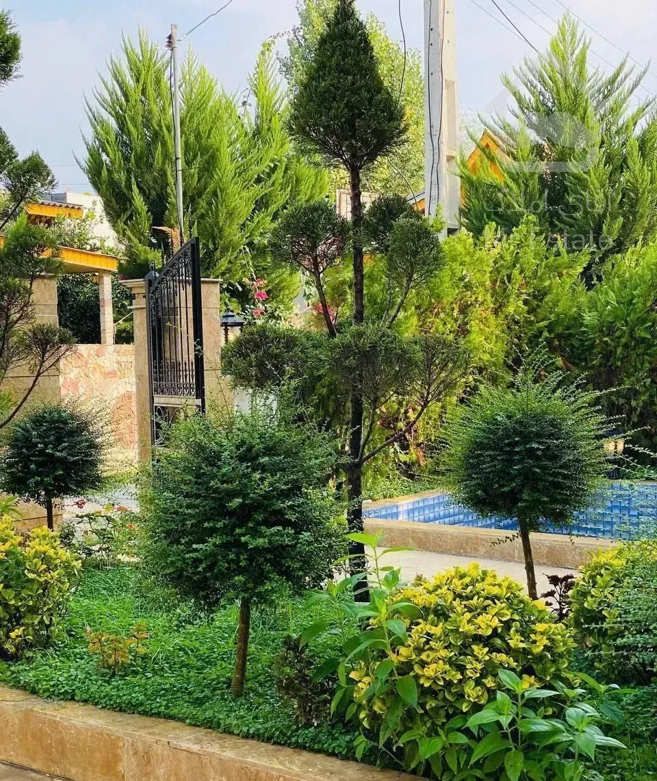 عمارت کلاسیک ویو ابدی کوه و جنگل