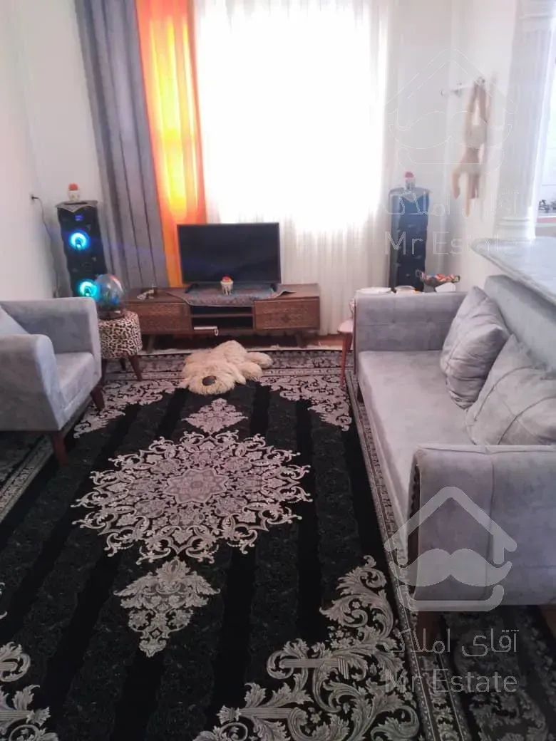 ٥٥ متر واحد دانشجویی