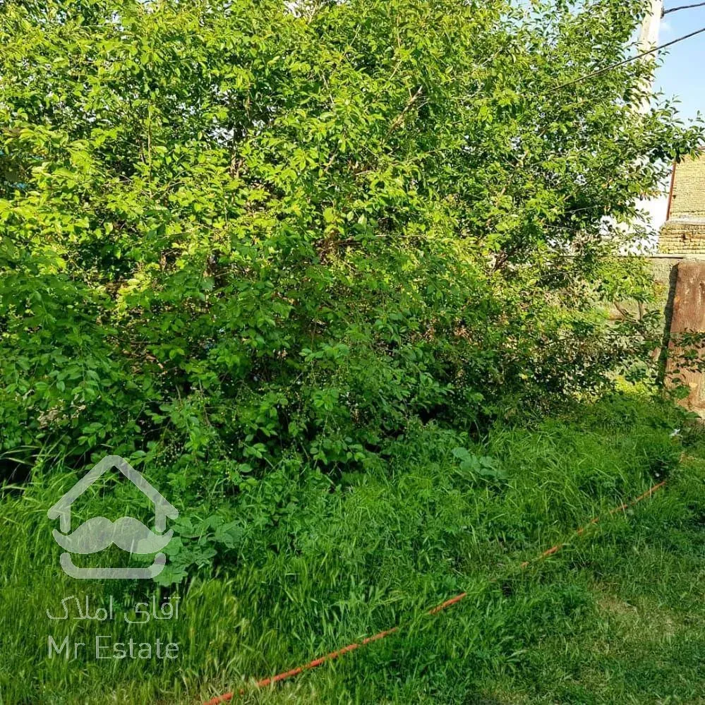 فروش ویلا باغ 755 متر